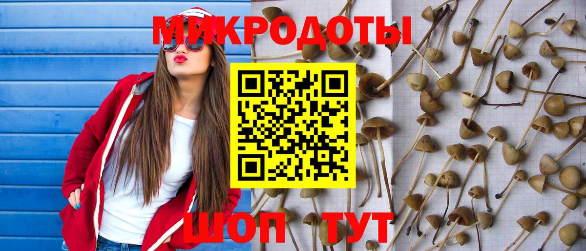 где найти наркотики  Псилоцибиновые грибы Cubensis  Псилоцибиновые грибы MAGIC MUSHROOMS  Вход с VPN  Барнаул 