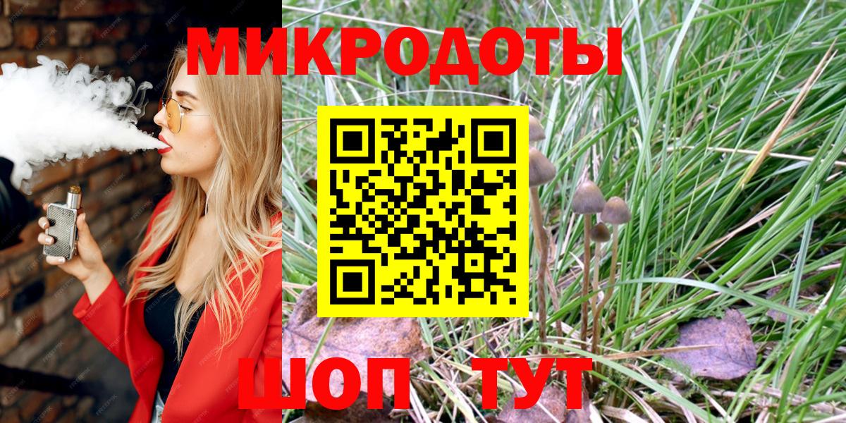 Псилоцибиновые грибы Cubensis Барнаул